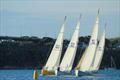 &copy; City of Sails Sprint Series