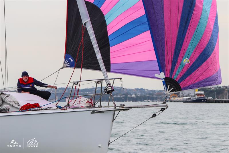 Doyle Sails RNZYS Winter Race 2 - 22 May - photo © Andrew Delves/RNZYS