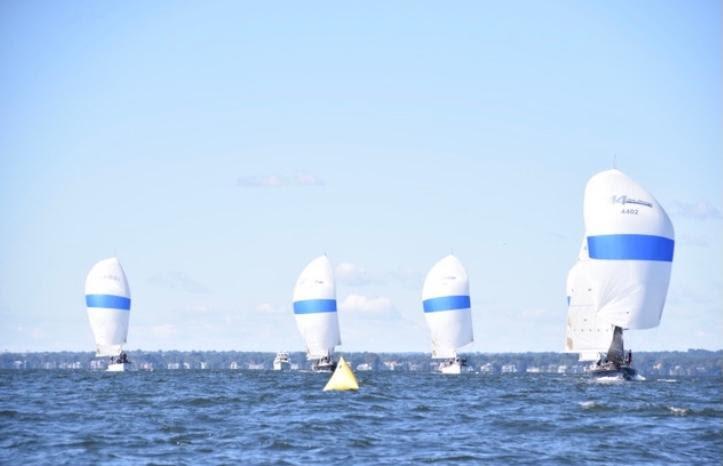 2021 American Yacht Club Fall Regatta photo copyright American Yacht Club taken at  and featuring the PHRF class