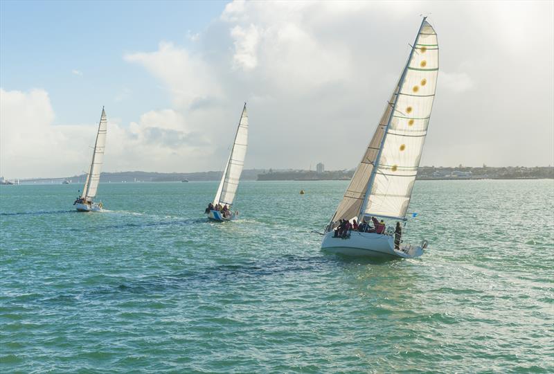 Three yachts racing each other in Auckland Harbour in New Zealand photo copyright Andrew Lever taken at Royal New Zealand Yacht Squadron and featuring the PHRF class