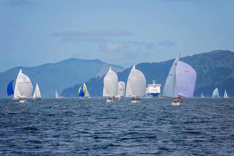 Bluebridge edging through the fleet - - Waikawa New Year Regatta 2021 photo copyright Karmyn Ingram taken at Waikawa Boating Club and featuring the PHRF class