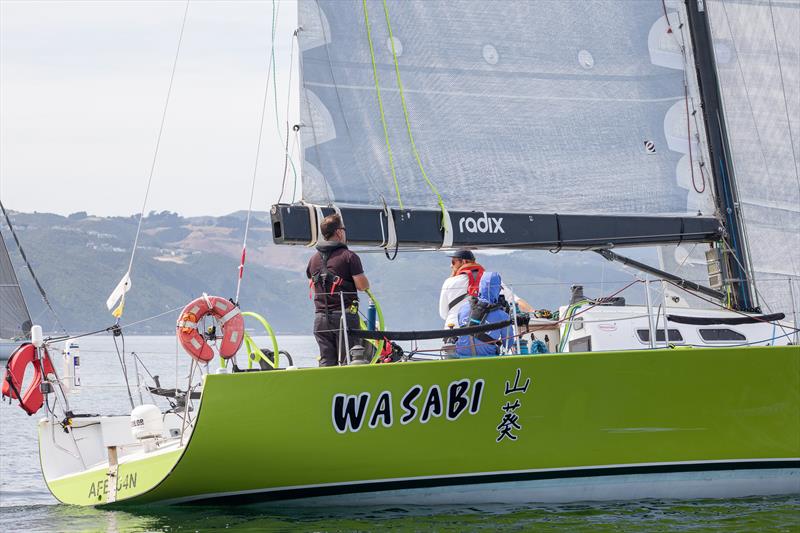 Wasabi - Central Triangle Race - March 2022 - photo © Katie Hakes