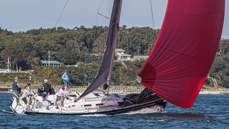 black bear yacht racing association