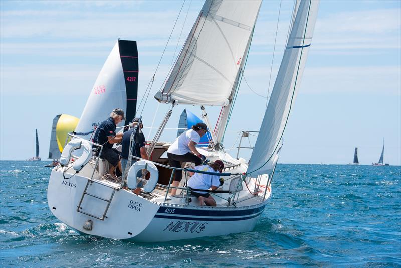Cees Romeyn will sail Nexus at Bay of Islands Sailing Week for the 20th time in 2023  photo copyright Lissa Photography taken at Bay of Islands Yacht Club and featuring the PHRF class