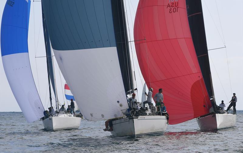 San Diego Hot Rum Series Day 1 - photo © Bob Betancourt