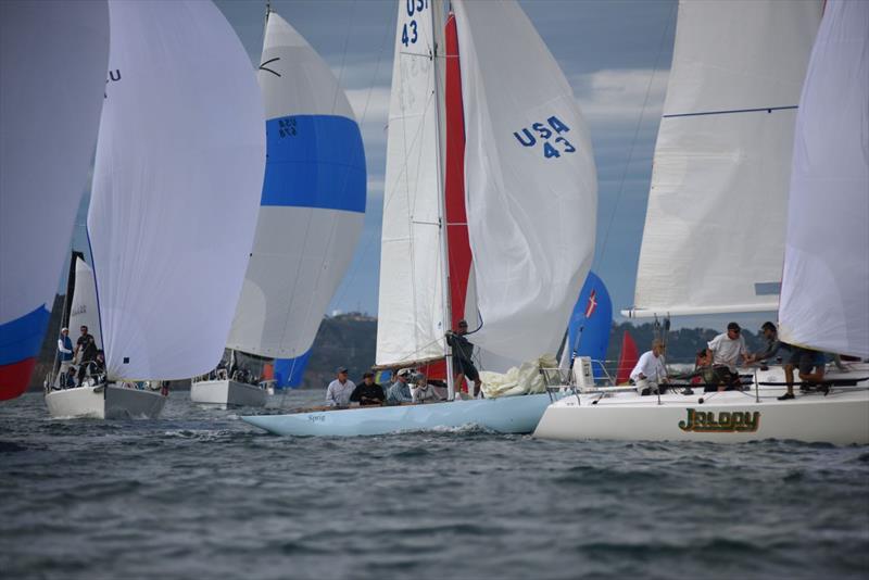 San Diego Hot Rum Series Day 2 - photo © Bob Betancourt