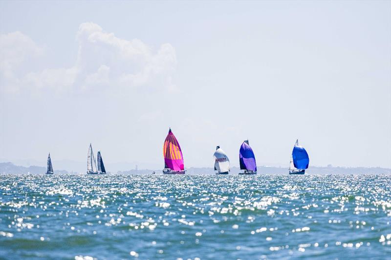  PIC Harbour Classic, Waitemata Harbour,  March 21, 2026 - photo © Marcus Brummel / Live Sail Die