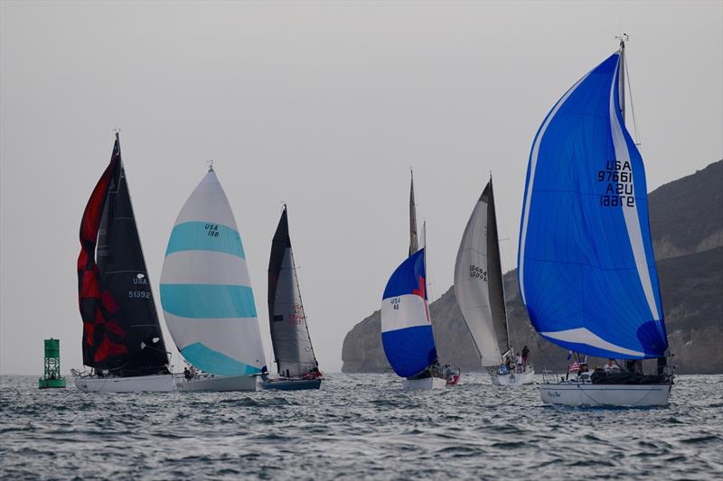 San Diego YC Cold Rum Regatta series final day - photo © Bob Betancourt