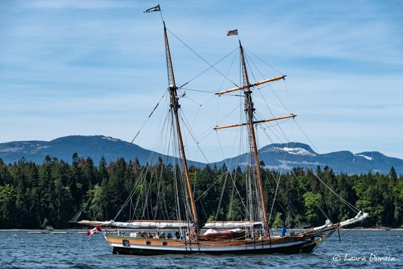 Tall ship anchored in Clam Bay photo copyright Laura Domela taken at  and featuring the Power boat class
