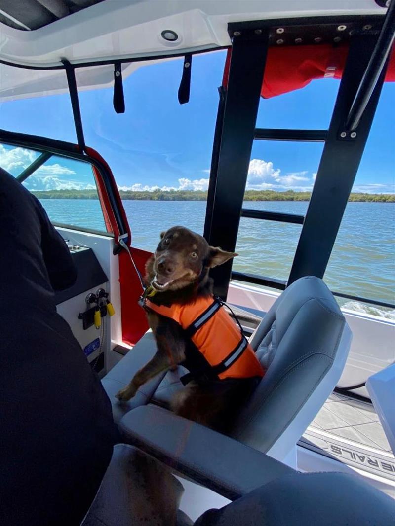 Onboard Axopar photo copyright Eyachts taken at  and featuring the Power boat class