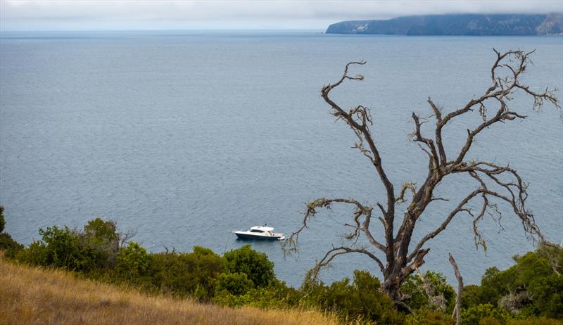 Riviera has the style of cockpit that perfectly suits the Merker family's active aquatic lifestyle. - photo © Riviera Australia