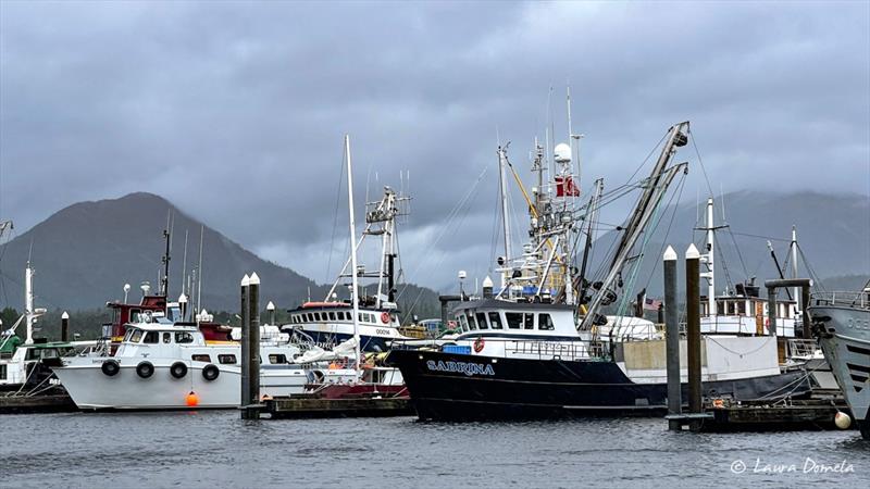 This photo does not accurately depict the sound of the 40  knot winds and sideways rain rippin' through the marina. At all photo copyright Laura Domela taken at  and featuring the Power boat class