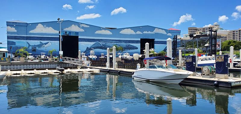 Legendary Marina - photo © Andrew Golden