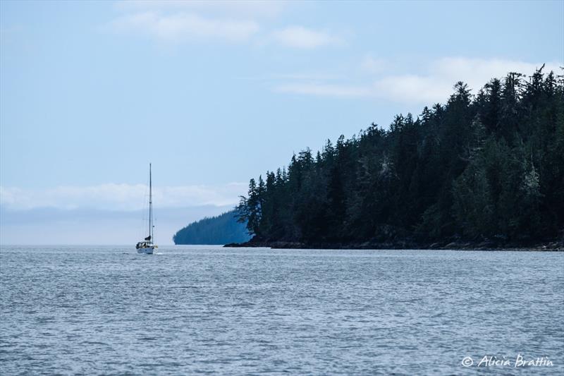 Dog Star turning into Kwakshua Channel - photo © Alicia Brattin