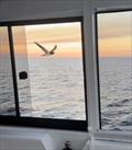 &copy; ILIAD Catamarans