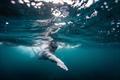 Jono Ridler - Swim4TheOcean - December 2025 &copy; Gareth Cooke