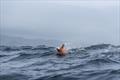 Jono Ridler - Swim4TheOcean - April 2026