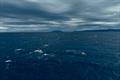 Jono Ridler - Swim4TheOcean - April 2026