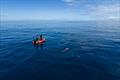Jono Ridler - Swim4TheOcean - April 2026