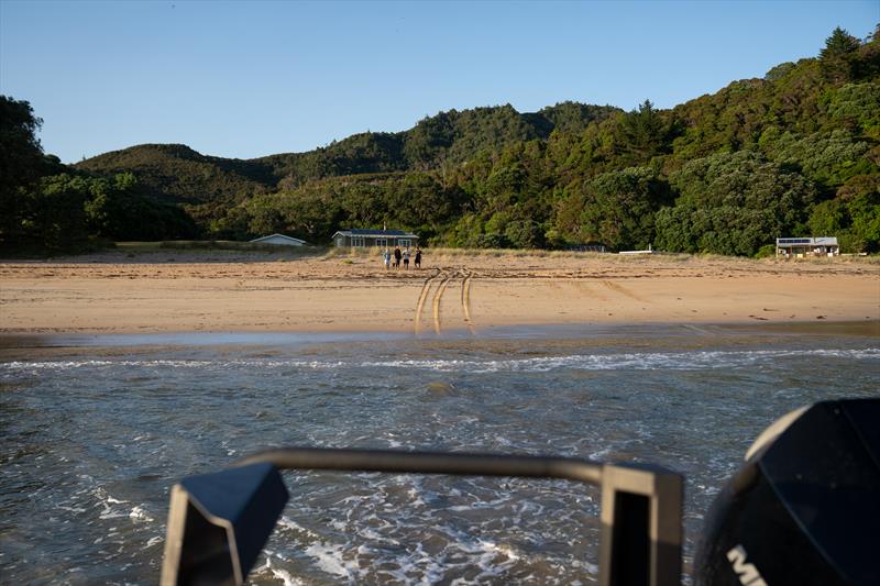 Jono Ridler - Swim4TheOcean - January 11, 2026 - photo © Joshua McCormack