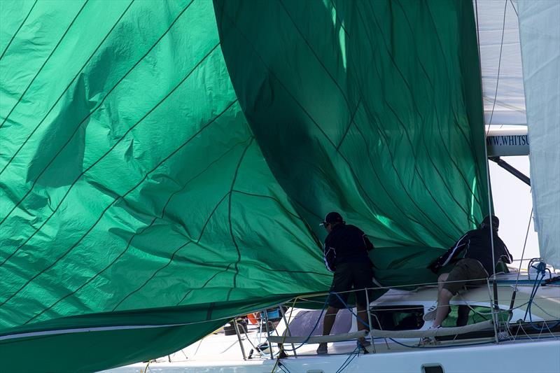 Eureka is all green! Well done. Airlie Beach Race Week photo copyright Andrea Francolini taken at Whitsunday Sailing Club and featuring the  class