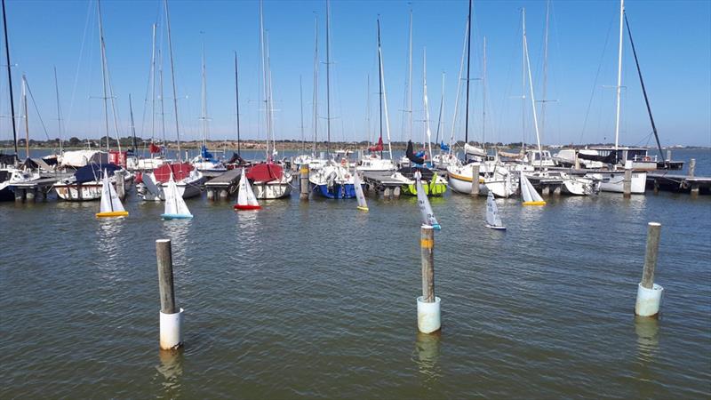 The fleet raced inside the club's marina providing great spectator viewing - Radio-Controlled Yacht Regatta 2019 photo copyright Louise Edwards taken at Goolwa Regatta Yacht Club and featuring the Radio Sailing class