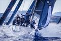 © Nico Martinez / 44Cup