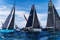 44Cup Marstrand 2025 © Nico Martinez / 44Cup