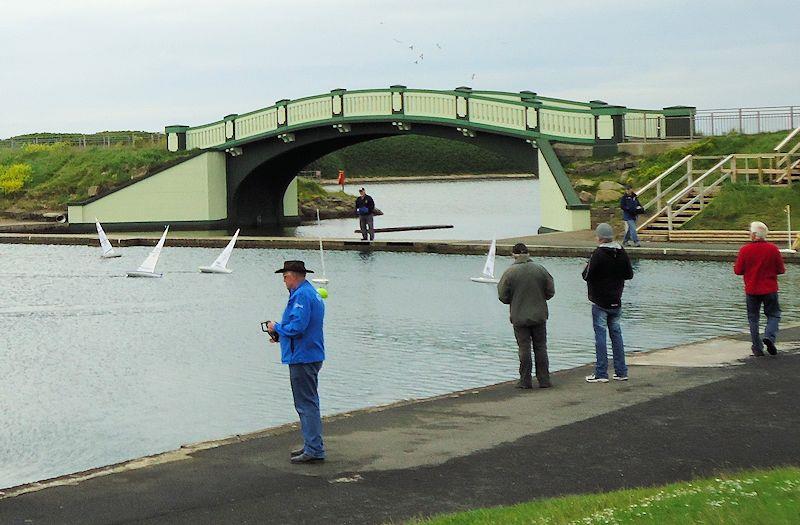 RC Laser Summer Series begins at Fleetwood photo copyright Tony Wilson taken at Fleetwood Model Yacht Club and featuring the RC Laser class