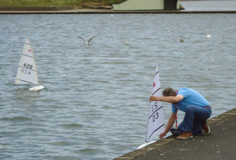 RC Laser racing in the Northern District series from Fleetwood photo copyright Tony Wilson taken at Fleetwood Model Yacht Club and featuring the RC Laser class