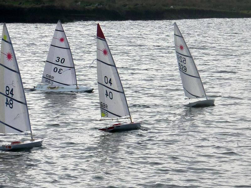 RC Laser Winter Series event 5 at Medway photo copyright Fiona Blair taken at Medway Yacht Club and featuring the RC Laser class