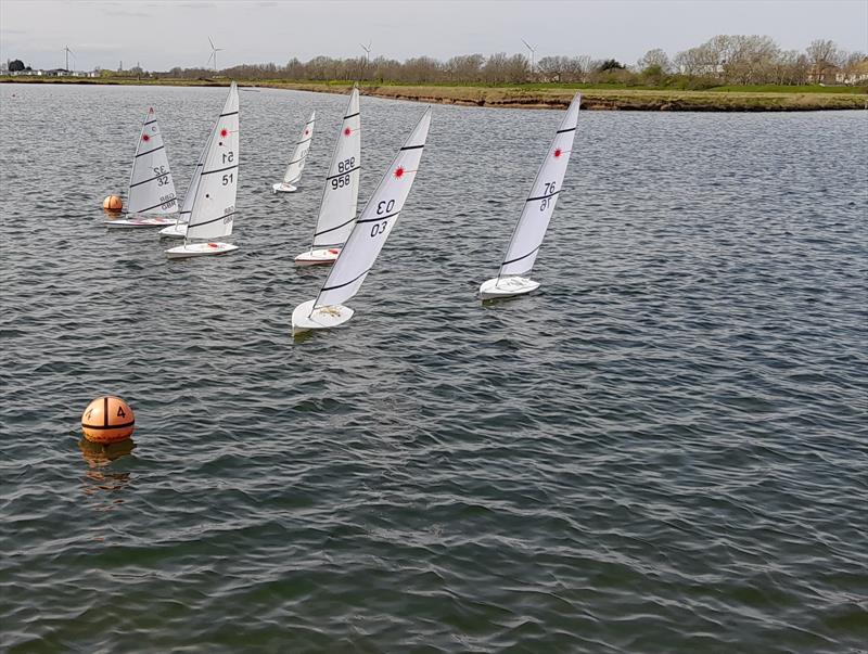 Medway RC Laser Winter Series event 11 photo copyright Fiona Blair taken at  and featuring the RC Laser class