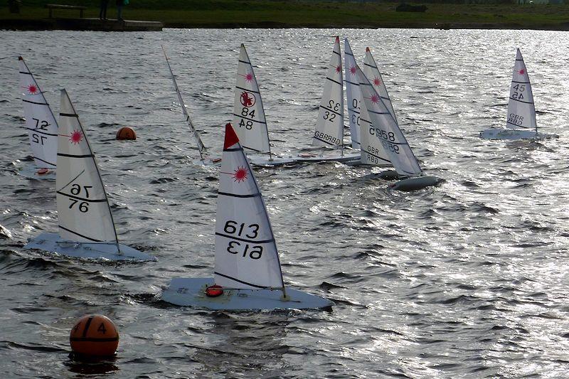 Medway RC Laser Club Winter Series day 5 photo copyright Fiona Blair taken at  and featuring the RC Laser class