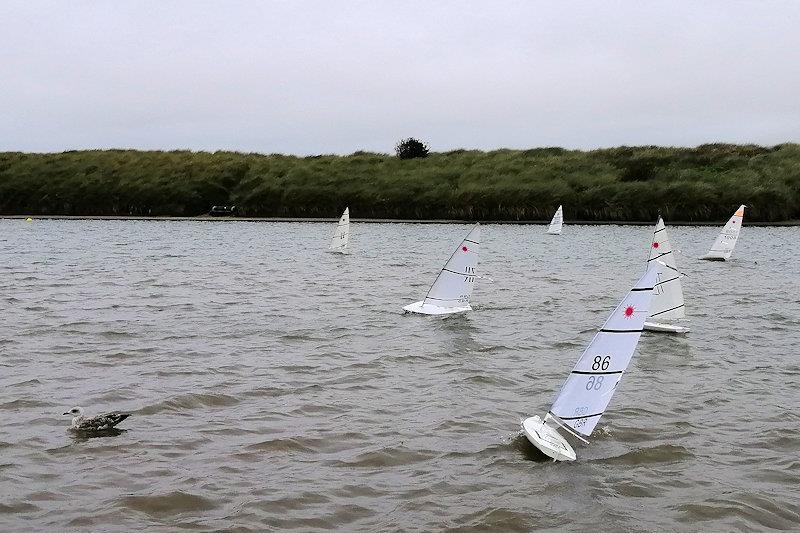 RC Laser Autumn Series 1 and Welch Cup at Fleetwood  photo copyright Steve Mattison taken at Fleetwood Model Yacht Club and featuring the RC Laser class