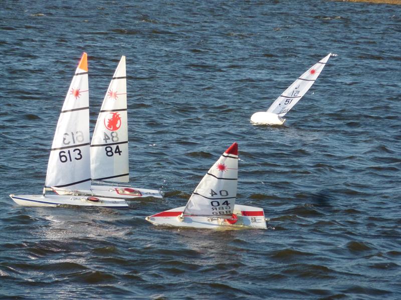 Medway RC Laser Club Winter Series week 3 photo copyright Fiona Blair taken at Medway Yacht Club and featuring the RC Laser class