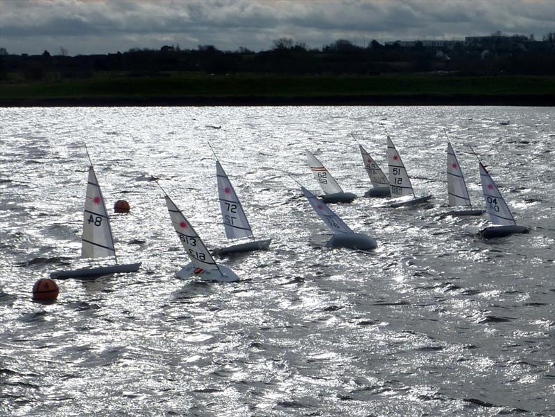 Medway RC Laser Club Winter Series week 7 photo copyright Fiona Blair taken at Medway Yacht Club and featuring the RC Laser class