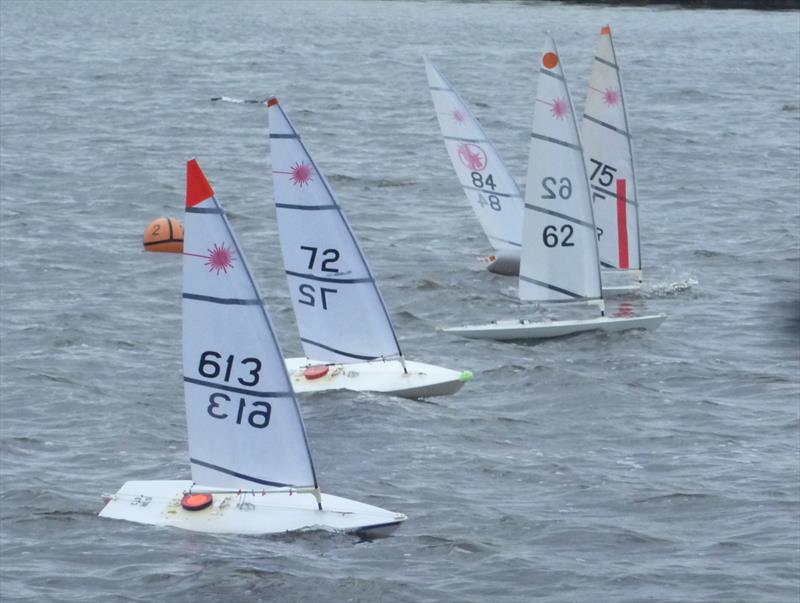 Medway RC Laser Club Winter Series week 7 photo copyright Fiona Blair taken at Medway Yacht Club and featuring the RC Laser class