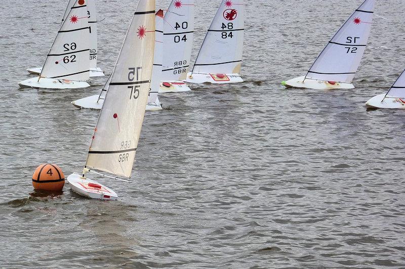 Medway RC Laser Club Winter Series week 10 photo copyright Fiona Blair taken at Medway Yacht Club and featuring the RC Laser class