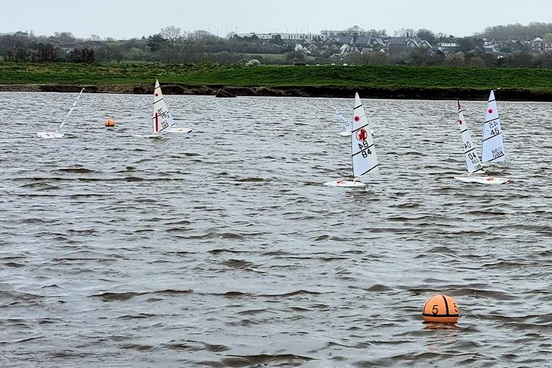 Medway RC Laser Club Winter Series week 12 photo copyright Jonny Hewit taken at Medway Yacht Club and featuring the RC Laser class