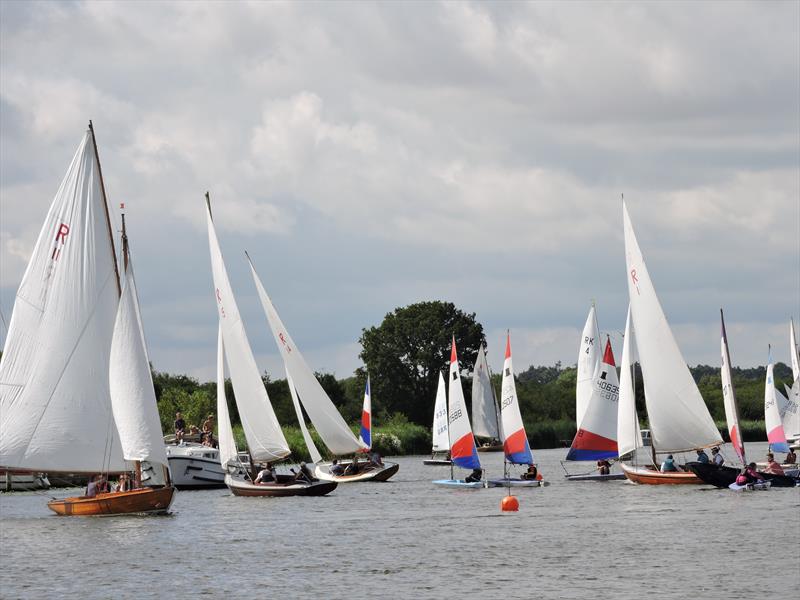 Horning Sailing Club Regatta Week photo copyright Holly Hancock taken at Horning Sailing Club and featuring the Rebel class