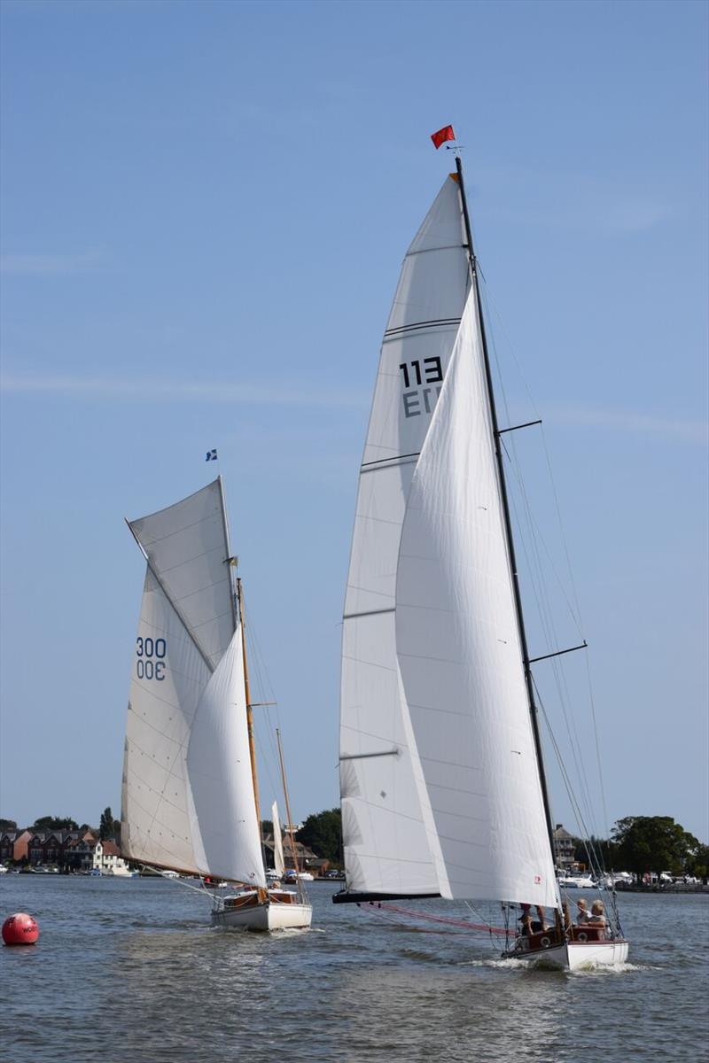 River Cruisers at Oulton Week 2017 photo copyright Trish Barnes taken at Waveney & Oulton Broad Yacht Club and featuring the River Cruiser class