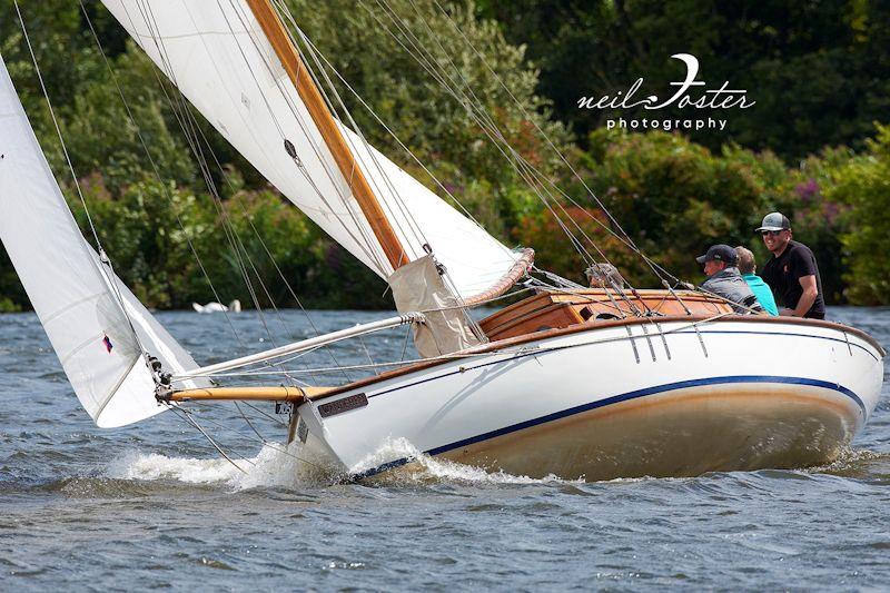 Wroxham Week 2023 - final day of racing photo copyright Neil Foster Photography taken at Norfolk Broads Yacht Club and featuring the River Cruiser class