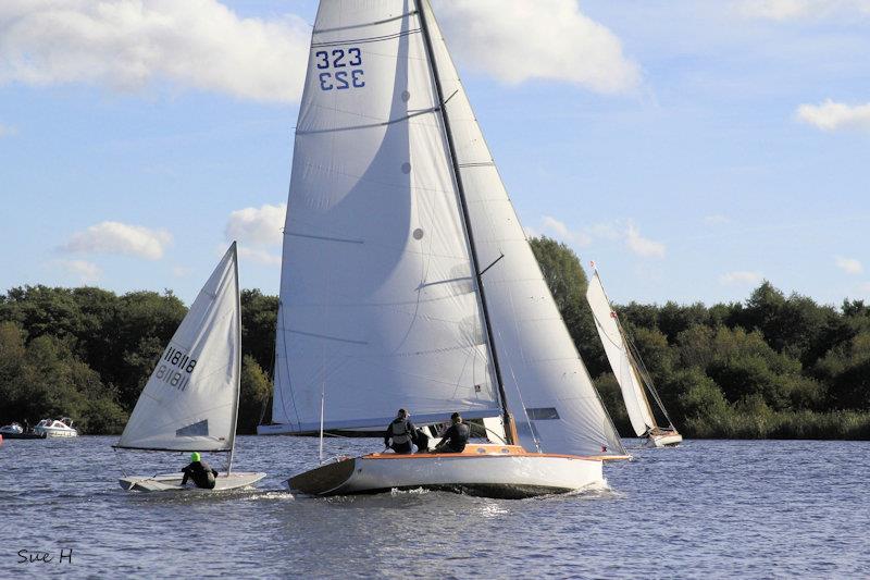 Tri-Icicle Race at Snowflake SC on the Norfolk Broads photo copyright Sue Hines taken at Snowflake Sailing Club and featuring the River Cruiser class