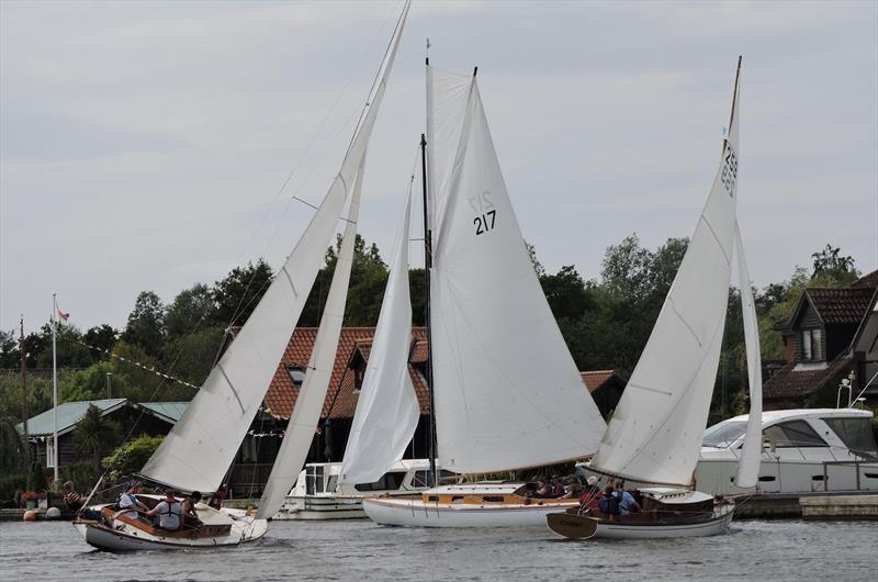 Horning Sailing Club Regatta Week photo copyright Holly Hancock taken at Horning Sailing Club and featuring the River Cruiser class