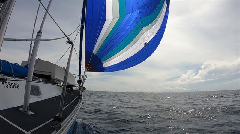 Beginners guide to using a spinnaker photo copyright Rolly Tasker Sails taken at  and featuring the  class