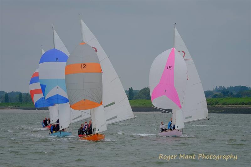 Royal Corinthian One Design Magnum Series photo copyright Roger Mant taken at Royal Corinthian Yacht Club, Burnham and featuring the Royal Corinthian One Design class