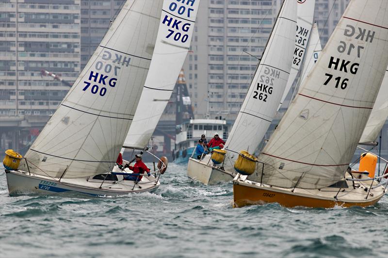 Volvo Ladies' Helm 2024 photo copyright RHKYC / Guy Nowell taken at  and featuring the  class