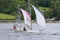 RS100 Rooster National Tour at Bala © John Hunter