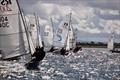 Irish RS Nationals at Galway © Alan Jones