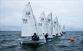 RS200 Scottish Tour round 1 at Fisherrow © Max Blinkhorn